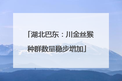 湖北巴东：川金丝猴种群数量稳步增加