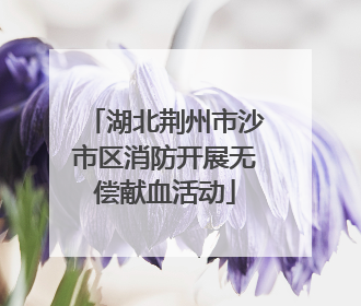 湖北荆州市沙市区消防开展无偿献血活动