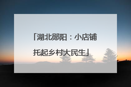 湖北郧阳：小店铺托起乡村大民生