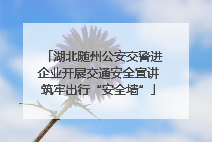 湖北随州公安交警进企业开展交通安全宣讲筑牢出行“安全墙”