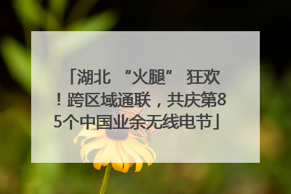 湖北 “火腿” 狂欢!跨区域通联,共庆第85个中国业余无线电节