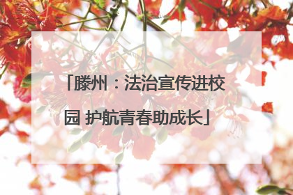 滕州：法治宣传进校园 护航青春助成长