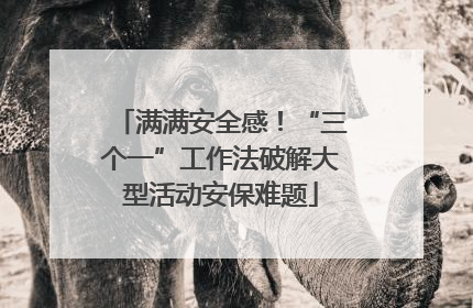 满满安全感！“三个一”工作法破解大型活动安保难题