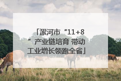 漯河市“11+8”产业链培育 带动工业增长领跑全省