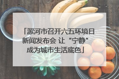 漯河市召开六五环境日新闻发布会 让“宁静”成为城市生活底色