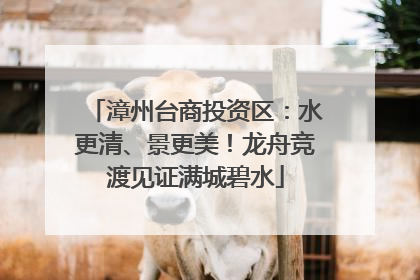 漳州台商投资区：水更清、景更美！龙舟竞渡见证满城碧水