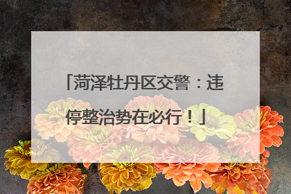 菏泽牡丹区交警：违停整治势在必行！