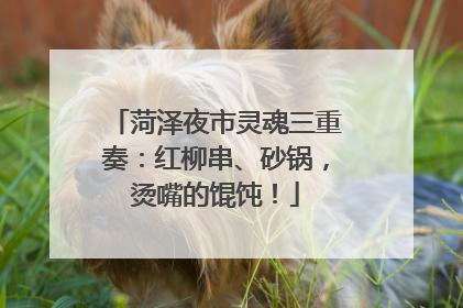 菏泽夜市灵魂三重奏：红柳串、砂锅，烫嘴的馄饨！