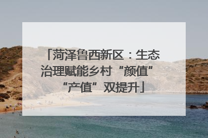 菏泽鲁西新区：生态治理赋能乡村“颜值”“产值”双提升
