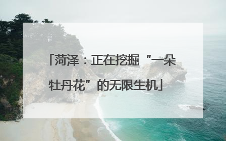菏泽：正在挖掘“一朵牡丹花”的无限生机
