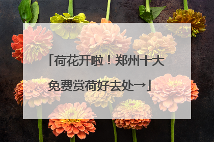 荷花开啦！郑州十大免费赏荷好去处→