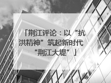 荆江评论：以“抗洪精神”筑起新时代“荆江大堤”