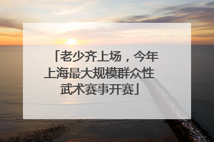 老少齐上场，今年上海最大规模群众性武术赛事开赛
