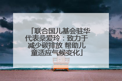 联合国儿基会驻华代表桑爱玲：致力于减少碳排放 帮助儿童适应气候变化