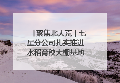 聚焦北大荒｜七星分公司扎实推进水稻育秧大棚基地清理整治工作