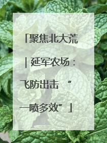 聚焦北大荒｜延军农场：飞防出击 “一喷多效”