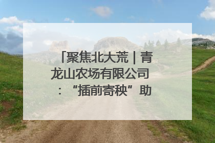 聚焦北大荒｜青龙山农场有限公司：“插前寄秧”助力农业节本增效