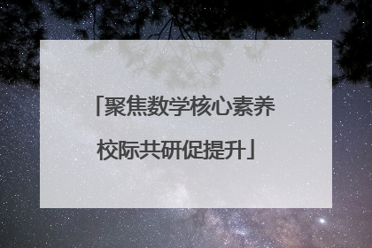 聚焦数学核心素养 校际共研促提升