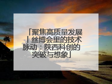聚焦高质量发展丨丝博会里的技术脉动：陕西科创的突破与想象