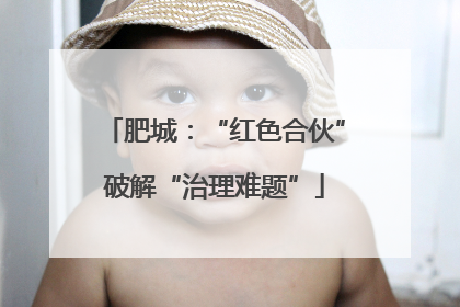 肥城：“红色合伙”破解“治理难题”