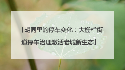 胡同里的停车变化：大栅栏街道停车治理激活老城新生态