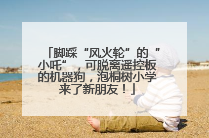 脚踩“风火轮”的“小吒”，可脱离遥控板的机器狗，泡桐树小学来了新朋友！