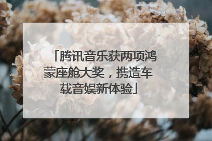腾讯音乐获两项鸿蒙座舱大奖，携造车载音娱新体验