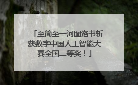 至简至一河图洛书斩获数字中国人工智能大赛全国二等奖！