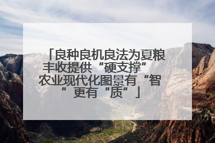 良种良机良法为夏粮丰收提供“硬支撑” 农业现代化图景有“智”更有“质”
