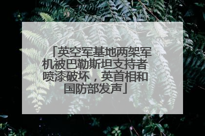 英空军基地两架军机被巴勒斯坦支持者喷漆破坏，英首相和国防部发声