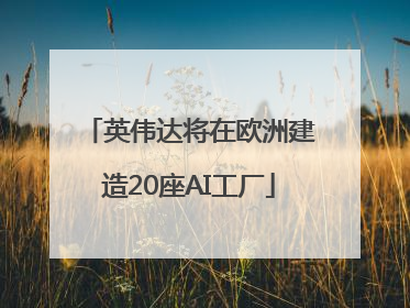 英伟达将在欧洲建造20座AI工厂