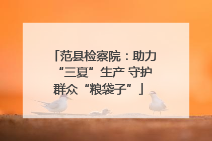 范县检察院：助力“三夏”生产 守护群众“粮袋子”