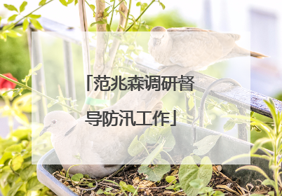 范兆森调研督导防汛工作
