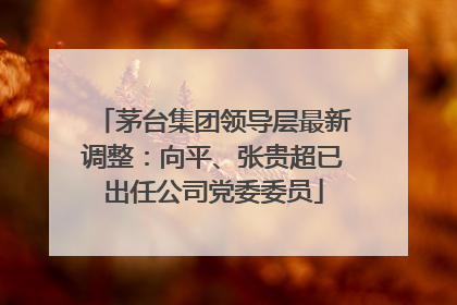 茅台集团领导层最新调整：向平、张贵超已出任公司党委委员