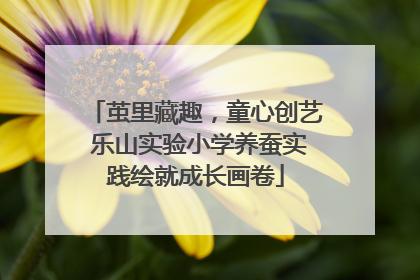 茧里藏趣，童心创艺 乐山实验小学养蚕实践绘就成长画卷