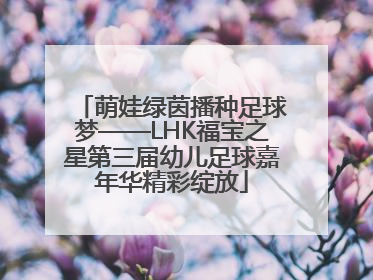 萌娃绿茵播种足球梦——LHK福宝之星第三届幼儿足球嘉年华精彩绽放