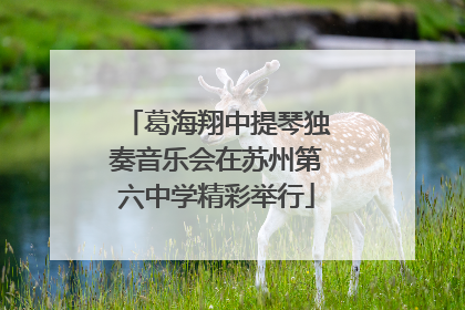 葛海翔中提琴独奏音乐会在苏州第六中学精彩举行