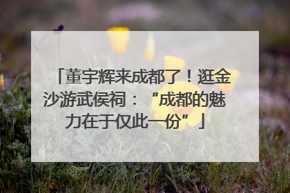 董宇辉来成都了！逛金沙游武侯祠：“成都的魅力在于仅此一份”