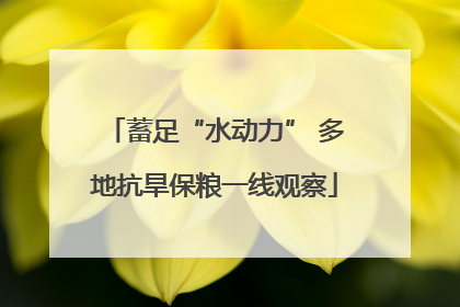 蓄足“水动力” 多地抗旱保粮一线观察