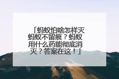 蚂蚁怕啥怎样灭蚂蚁不留痕？蚂蚁用什么药能彻底消灭？答案在这！
