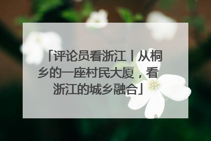 评论员看浙江丨从桐乡的一座村民大厦，看浙江的城乡融合