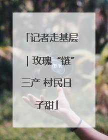 记者走基层｜玫瑰“链”三产 村民日子甜