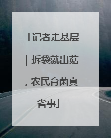 记者走基层｜拆袋就出菇，农民育菌真省事
