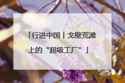 行进中国丨戈壁荒滩上的“超级工厂”