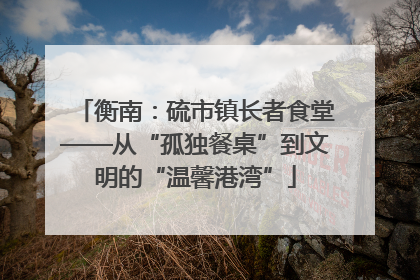衡南：硫市镇长者食堂——从“孤独餐桌”到文明的“温馨港湾”