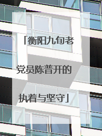衡阳九旬老党员陈普开的执着与坚守