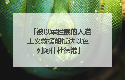 被以军拦截的人道主义救援船抵达以色列阿什杜德港