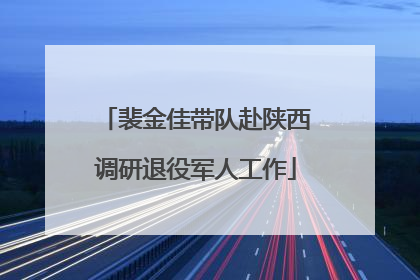 裴金佳带队赴陕西调研退役军人工作