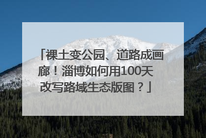 裸土变公园、道路成画廊！淄博如何用100天改写路域生态版图？