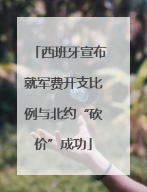 西班牙宣布就军费开支比例与北约“砍价”成功